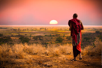 Tanzania Luxury Guided Safari & Zanzibar  Beach Stay | 13 Days
