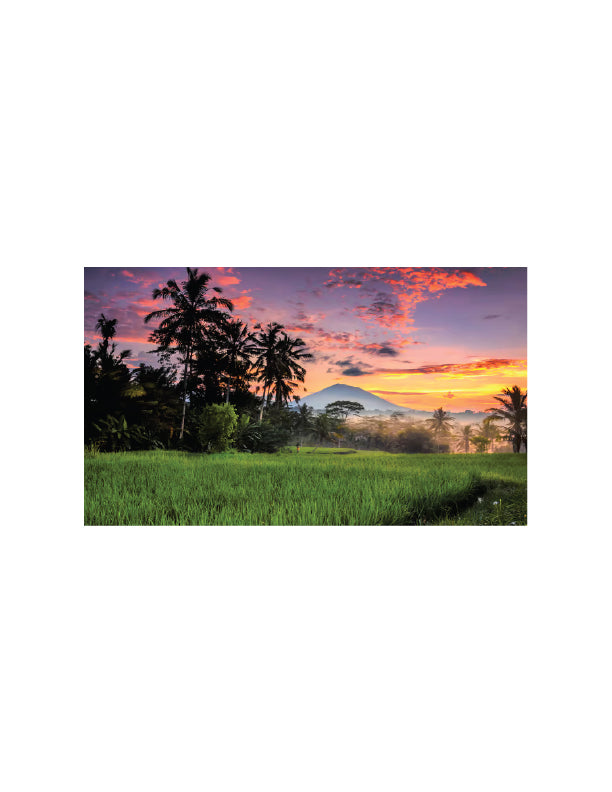 Bali Island Tour | 10 Days