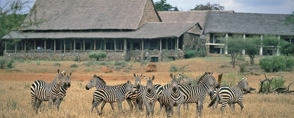  Kilaguni Serena Safari Lodge 4.5 ★ | Tsavo Ouest