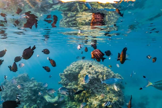 Bali Island Tour | 10 Days