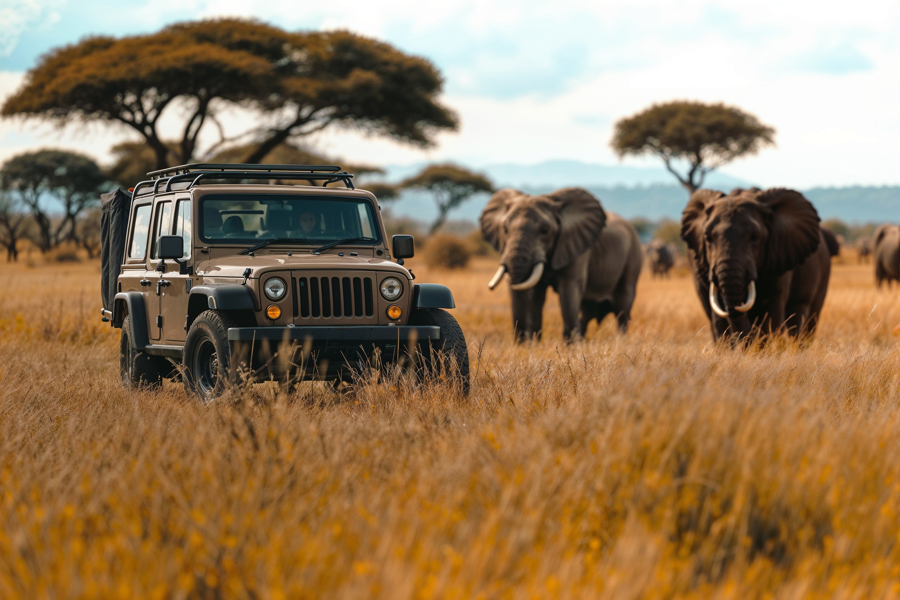 Kenya Safari Guidé en Jeep | 11 Jours