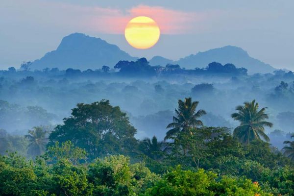 Sri Lanka Tour| 11 Days