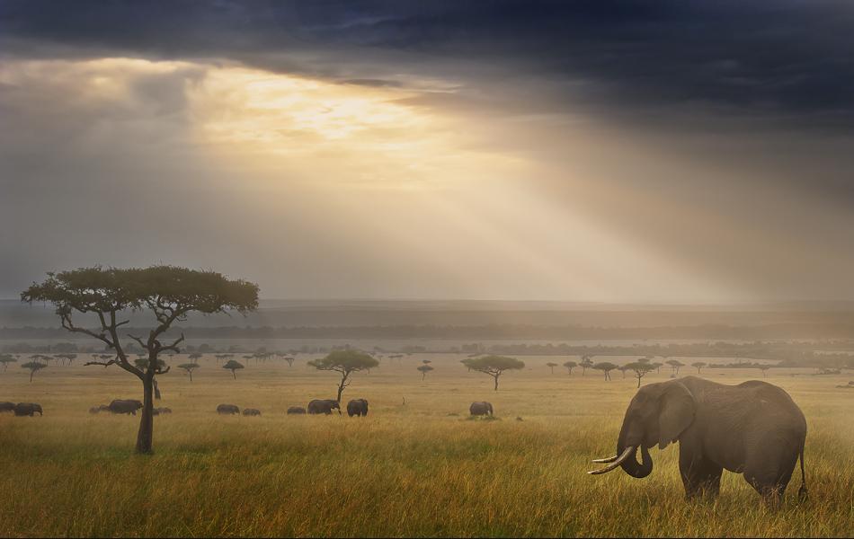 Tanzania Luxury Guided Safari & Zanzibar  Beach Stay | 13 Days