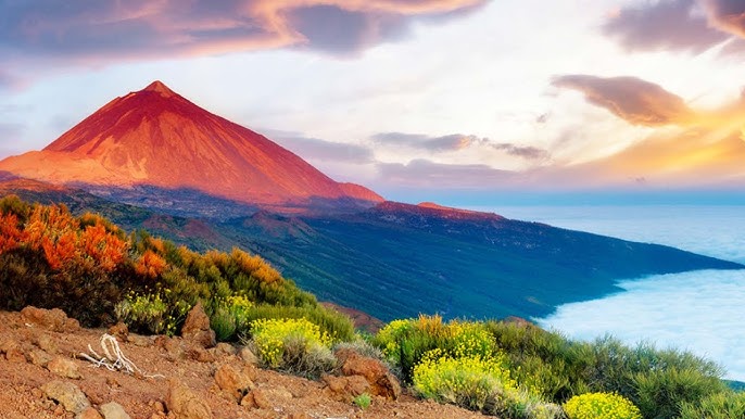 Canary Islands Tour & Beach Stay | 10 Days