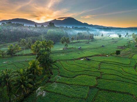 Sri Lanka Tour| 11 Days