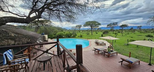 Simba Lodge 4★ | Tarangire National Park 2