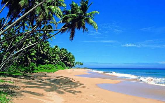 Sri Lanka Tour| 11 Days