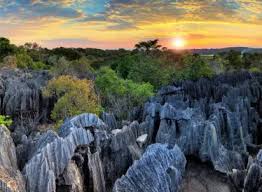 Madagascar Island Tour | 11 Days