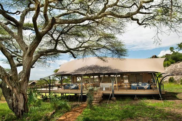 Suenos de Africa Luxury Camp 5 ★ | Serengeti  2