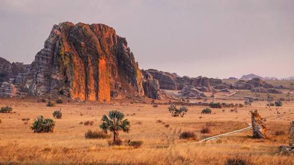 Madagascar Island Tour | 11 Days