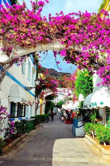 Canary Islands Tour & Beach Stay | 10 Days