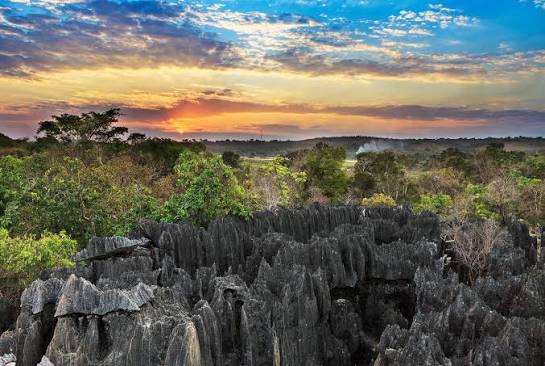 Madagascar Island Tour | 11 Days