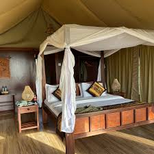 Simba Lodge 4★ | Tarangire National Park 3