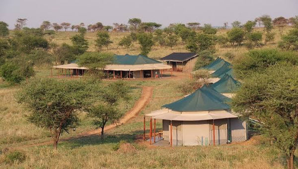 Suenos de Africa Luxury Camp 5 ★ | Serengeti 