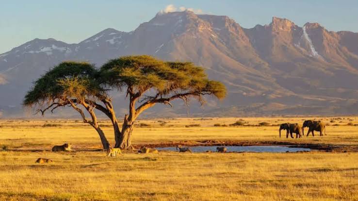 Kenya Safari Guidé en Jeep | 11 Jours