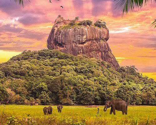 Sri Lanka Tour| 11 Days