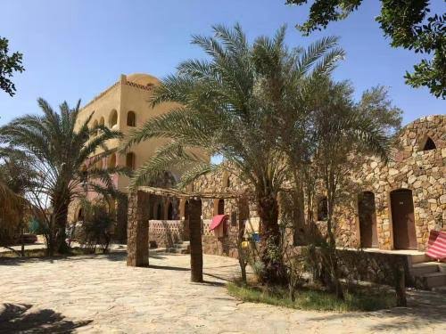 Hôtel du Désert 3 ★ | Oasis El Bahareya