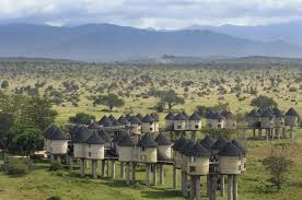Salt Lick Safari Lodge 4.5 ★ | Taita Hills
