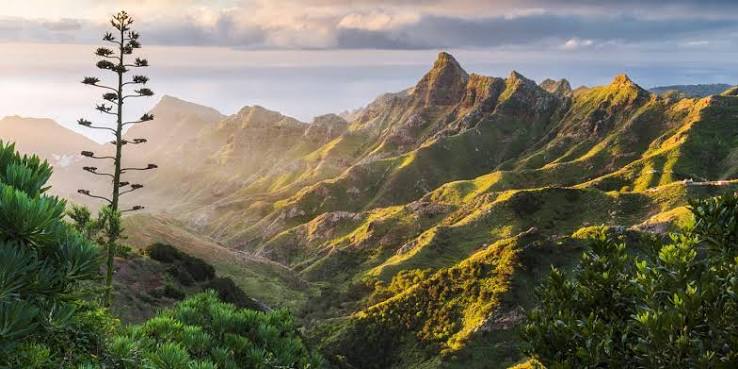 Canary Islands Tour & Beach Stay | 10 Days