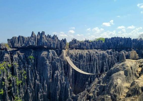 Madagascar Island Tour | 11 Days