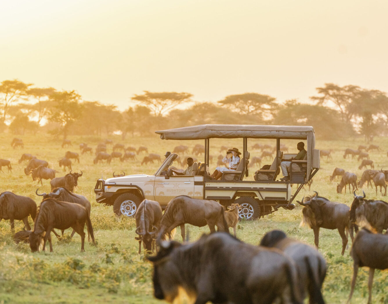 Tanzania Luxury Guided Safari & Zanzibar  Beach Stay | 13 Days